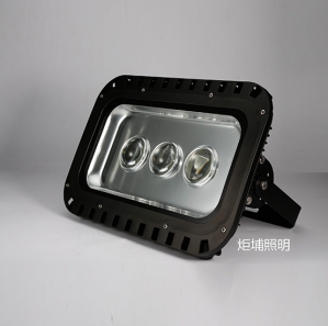 非標(biāo)工程燈具